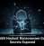 LockBit Hacked: Ransomware Gang’s Secrets Exposed